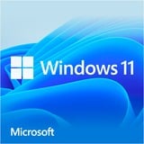 Windows 11 Home (Néerlandais), Logiciel