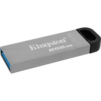 Kingston DataTraveler Kyson 256 Go, Clé USB Argent, DTKN/256GB