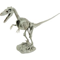 Geoworld Dino Excavation Kit - Velociraptor Skeleton, Boîte d’expérience 